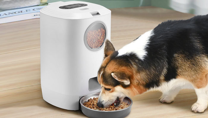 How to choose the right food-grade grease for pet automatic food feeders