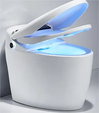 Smart toilet seat cushion is not smooth there is abnormal noise